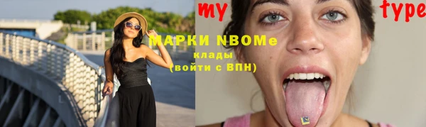 гидропоника Бородино